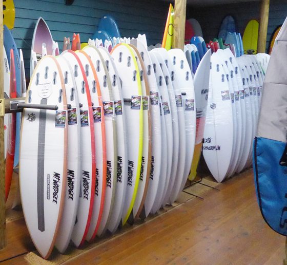 Mt Woodgee Surfboards MINI BULLETモデル