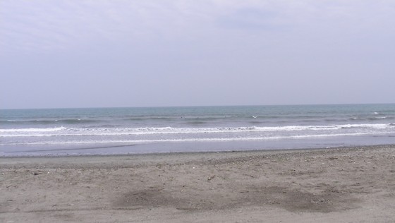 2015/05/18 14:49 片浜