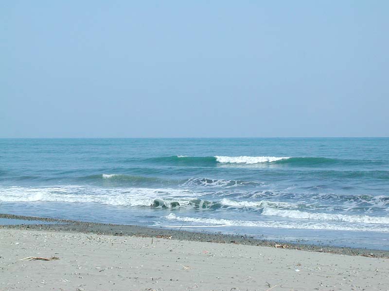  片浜