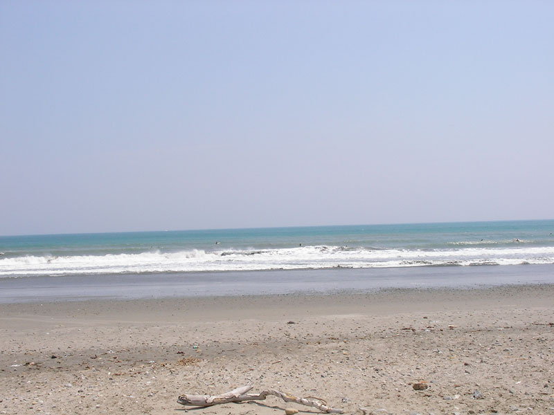片浜