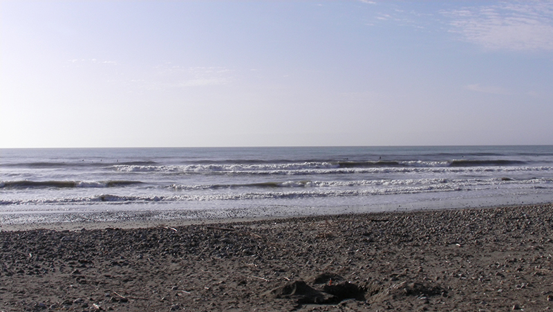 片浜